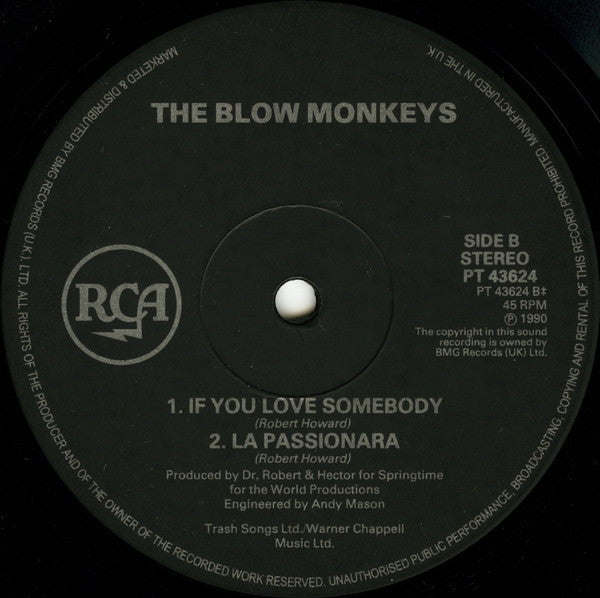 The Blow Monkeys : Springtime For The World (12", EP)