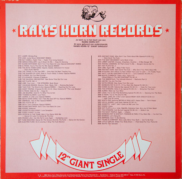 Rare Flirts “Passion” Disco Remix 12