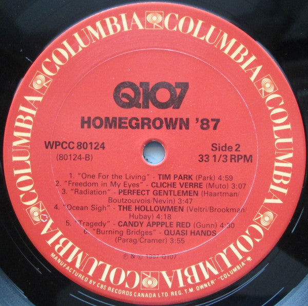 Various : Q107 Homegrown Album Volume 9 (LP, Album, Comp)