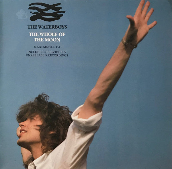 洋楽 THE WHOLE OF THE MOON 12\