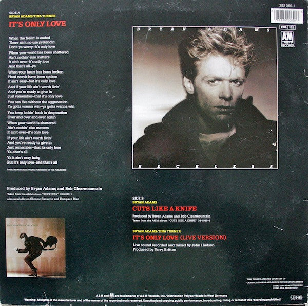 Bryan Adams With Tina Turner : It's Only Love (12", Maxi)