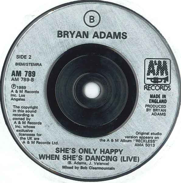 Bryan Adams : (Everything I Do) I Do It For You (7", Single, Sil)