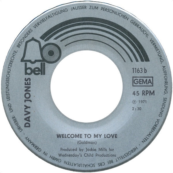 Davy Jones : Rainy Jane (7", Single)