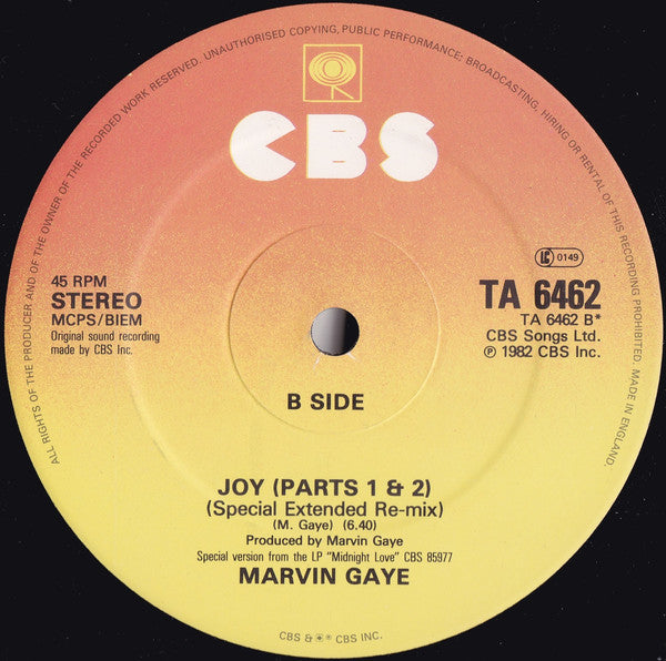 Marvin Gaye : It's Madness (12")