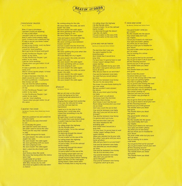 Molly Hatchet : Beatin' The Odds (LP, Album)