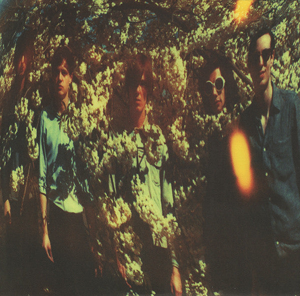 The Horrors : Skying (2xLP, Album, S/Edition)