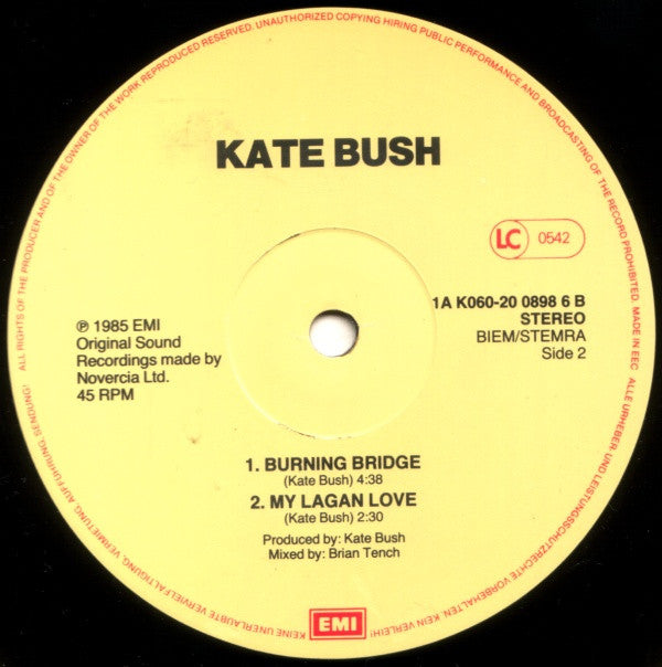 Kate Bush : Cloudbusting (12")