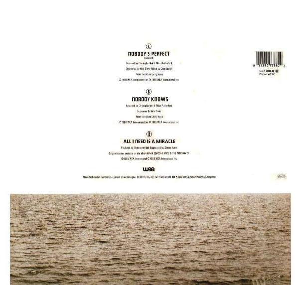 Mike + The Mechanics* : Nobody's Perfect (12", Single)