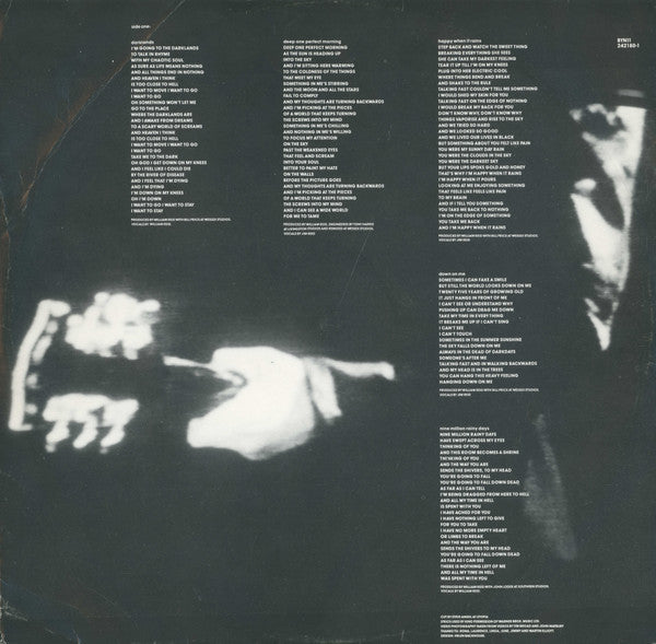 The Jesus And Mary Chain : Darklands (LP, Album)