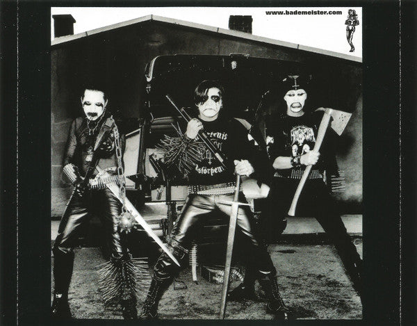 Die Ärzte : Wie Es Geht (CD, Maxi, Enh)