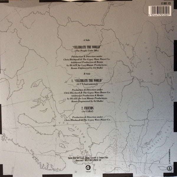 Womack & Womack : Celebrate The World (The People Unite Remix By Blaze) (12", Pic)