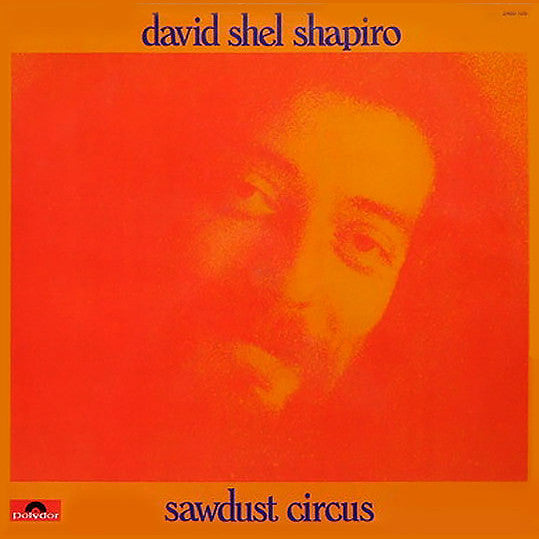 David Shel Shapiro* : Sawdust Circus (LP, Album)