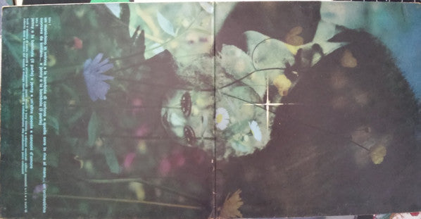 Gli Alunni Del Sole : Jenny E La Bambola... (LP, Album, Gat)