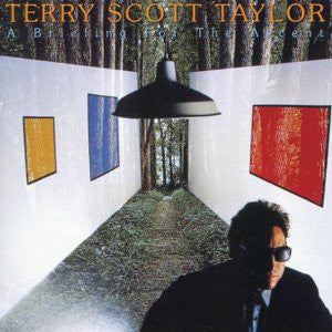 Terry Taylor : A Briefing For The Ascent (LP)