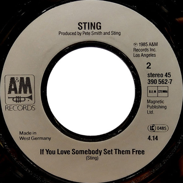 Sting : Englishman In N.Y. (The Ben Liebrand Mix) (7", Single)