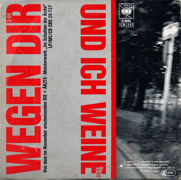 Die + Ärzte* : Wegen Dir (7", Single)