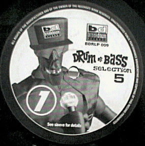 Various : Drum & Bass Selection 5 (Watch The Ride - Part 5 - Rinse Out) (2xLP, Comp)