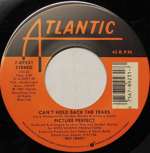 Picture Perfect (2) : Can't Hold Back The Tears (7", Single)