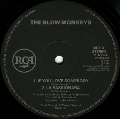 The Blow Monkeys : Springtime For The World (12", EP)