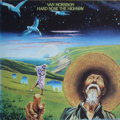 Van Morrison : Hard Nose The Highway (LP, Album, Gat)