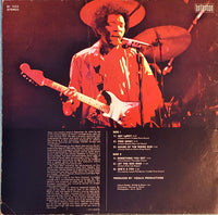 Jimi Hendrix : Jimi Hendrix (LP, S/Edition)