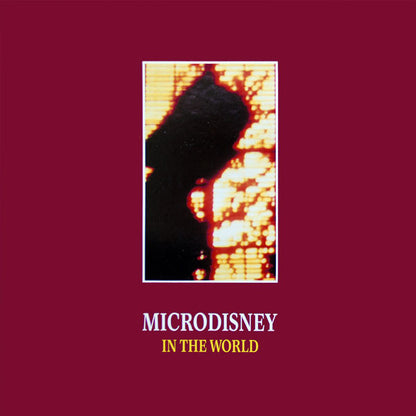Microdisney : In The World (12", EP)