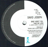 David Joseph : Joys Of Life (12", Single)