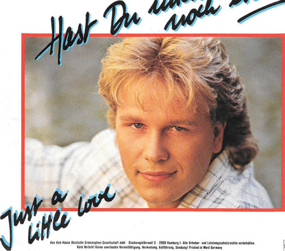 Rainer Hoeglmeier : Hast Du Mich Noch Lieb? (7", Single)