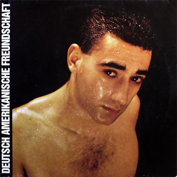 Deutsch Amerikanische Freundschaft : Alles Ist Gut (LP, Album)
