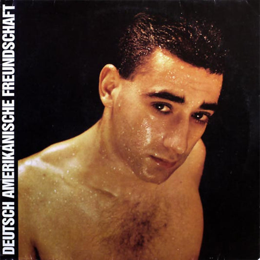 Deutsch Amerikanische Freundschaft : Alles Ist Gut (LP, Album)