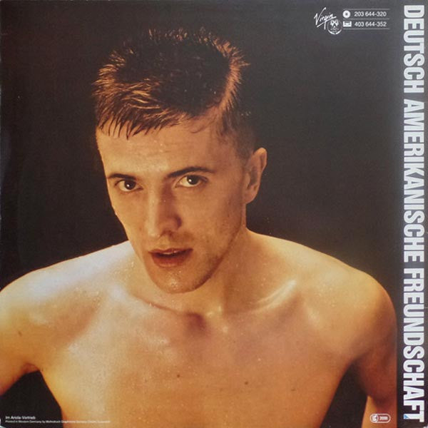 Deutsch Amerikanische Freundschaft : Alles Ist Gut (LP, Album)