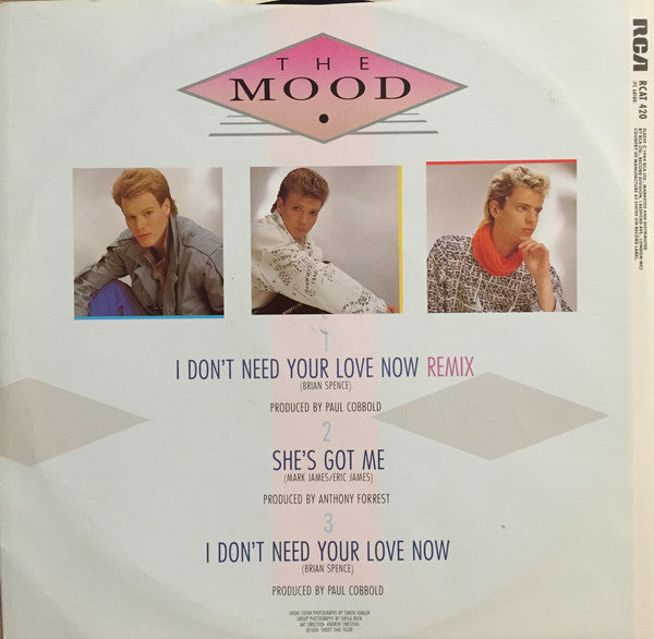 The Mood : I Don't Need Your Love Now (12")