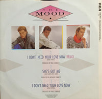 The Mood : I Don't Need Your Love Now (12")