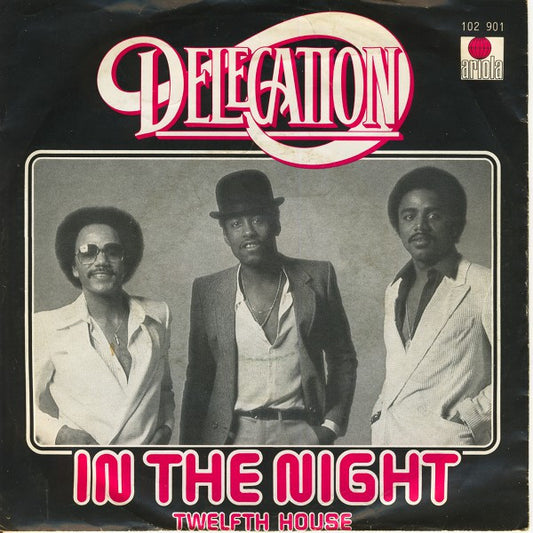 Delegation : In The Night  (7", Single)