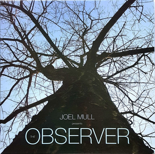 Joel Mull : The Observer (2x12", Album)