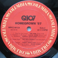 Various : Q107 Homegrown Album Volume 9 (LP, Album, Comp)