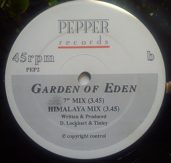 The Garden Of Eden : The Garden Of Eden (The Serpent In The Garden) // The Garden Of Eden (7" Mix) / (The Himalayan Mix) (12", Single)
