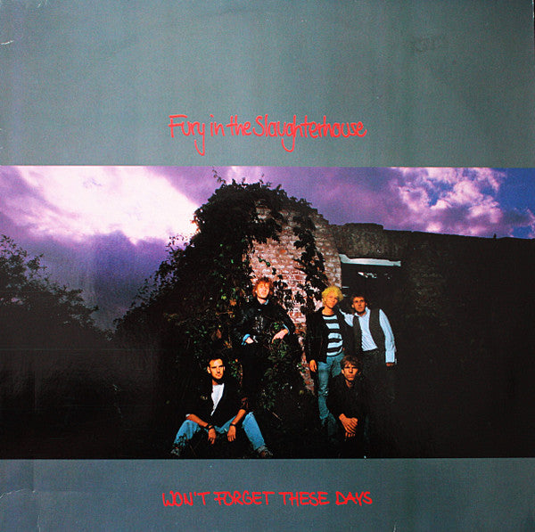 Fury In The Slaughterhouse : Won't Forget These Days (12")