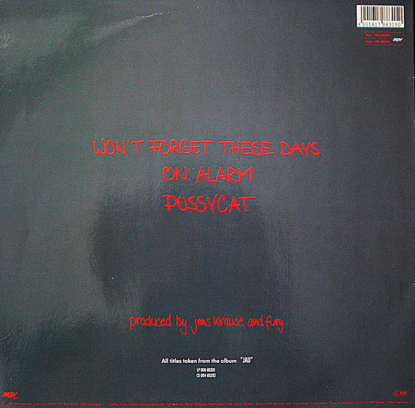Fury In The Slaughterhouse : Won't Forget These Days (12")