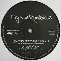 Fury In The Slaughterhouse : Won't Forget These Days (12")