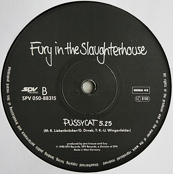 Fury In The Slaughterhouse : Won't Forget These Days (12")
