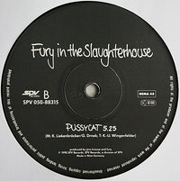Fury In The Slaughterhouse : Won't Forget These Days (12")