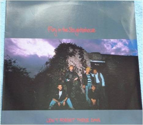 Fury In The Slaughterhouse : Won't Forget These Days (12")
