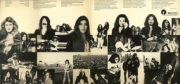 Deep Purple : Come Taste The Band (LP, Album, RE, Gat)