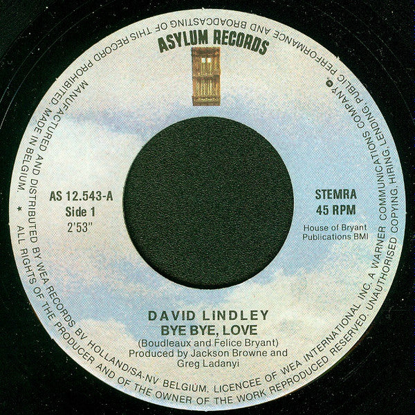 David Lindley : Bye Bye, Love (7", Single)