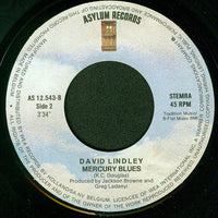 David Lindley : Bye Bye, Love (7", Single)
