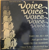 Voice (38) : Take Me As I Am (12", Maxi)