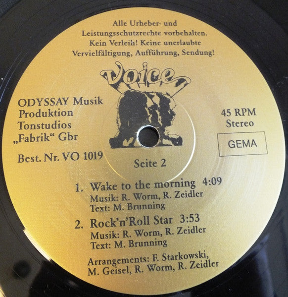 Voice (38) : Take Me As I Am (12", Maxi)