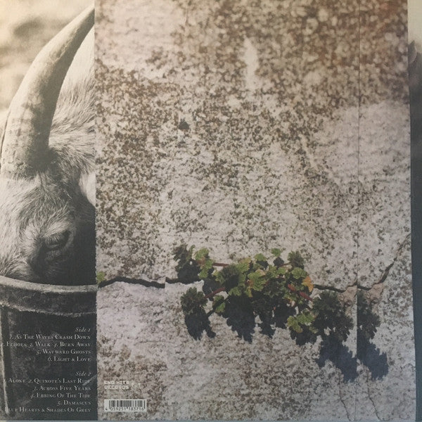 Nathan Gray : Feral Hymns (LP, Ltd, Whi)