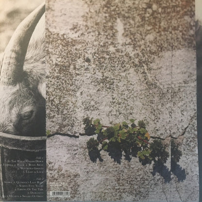 Nathan Gray : Feral Hymns (LP, Ltd, Whi)